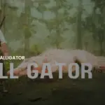 Bull Gator