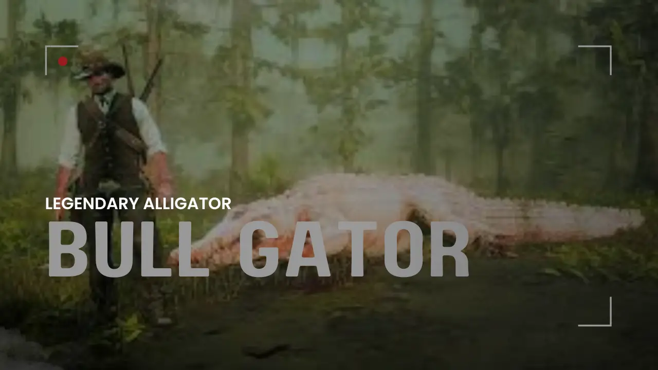 Bull Gator