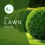 $25 lawn service