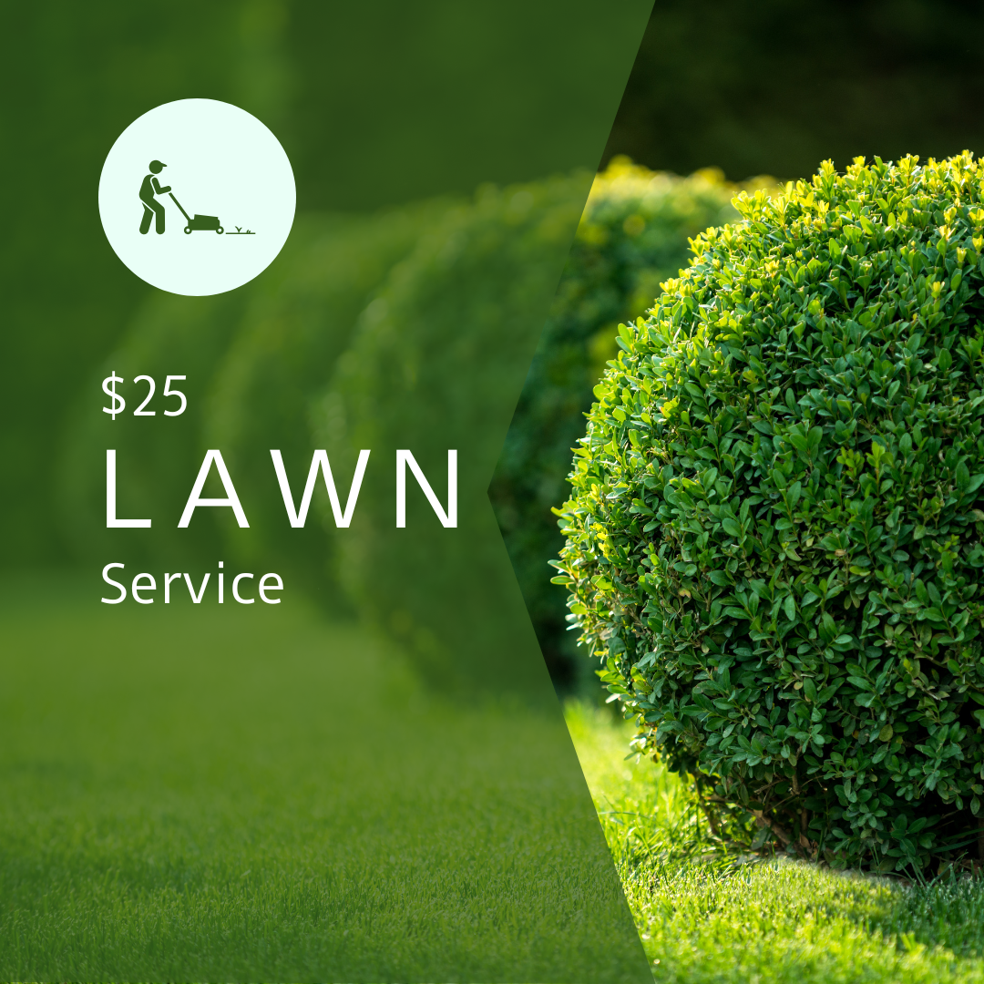 $25 lawn service